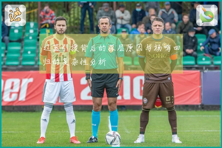 辽篮引援背后的深层原因与杨鸣回归的复杂性分析