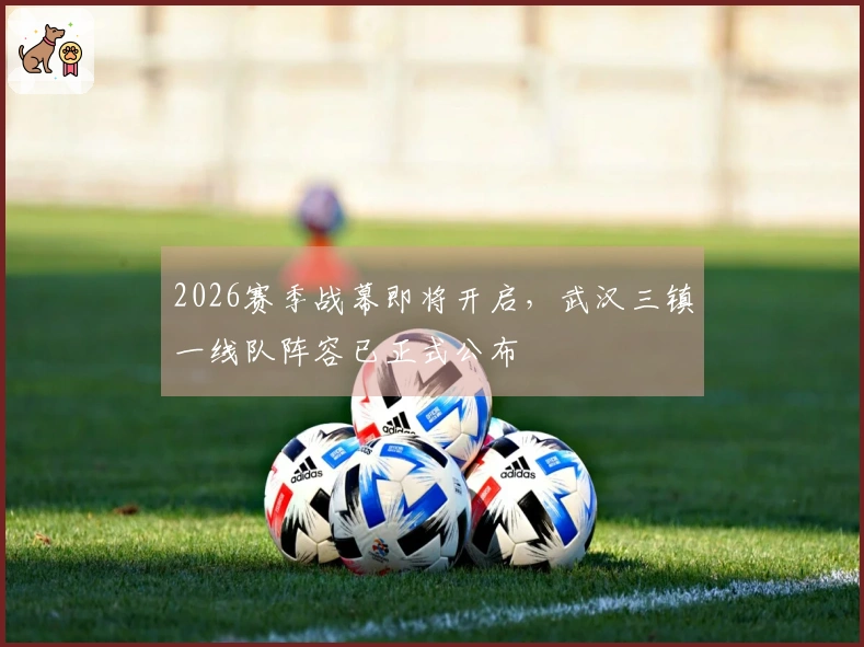 2026赛季战幕即将开启，武汉三镇一线队阵容已正式公布
