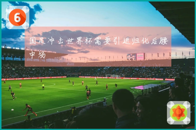 国足冲击世界杯需要引进归化后腰中场