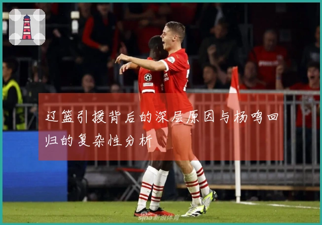 辽篮引援背后的深层原因与杨鸣回归的复杂性分析